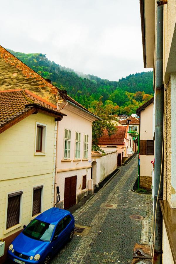Ardor Apt - Bright And Secluded Apartment In The Heart Of Old Town 브라쇼브 외부 사진